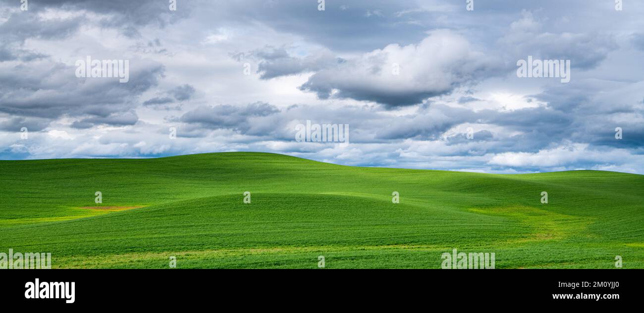 Scène printanière de collines idylliques couvertes d'herbe verte sous un ciel spectaculaire Banque D'Images