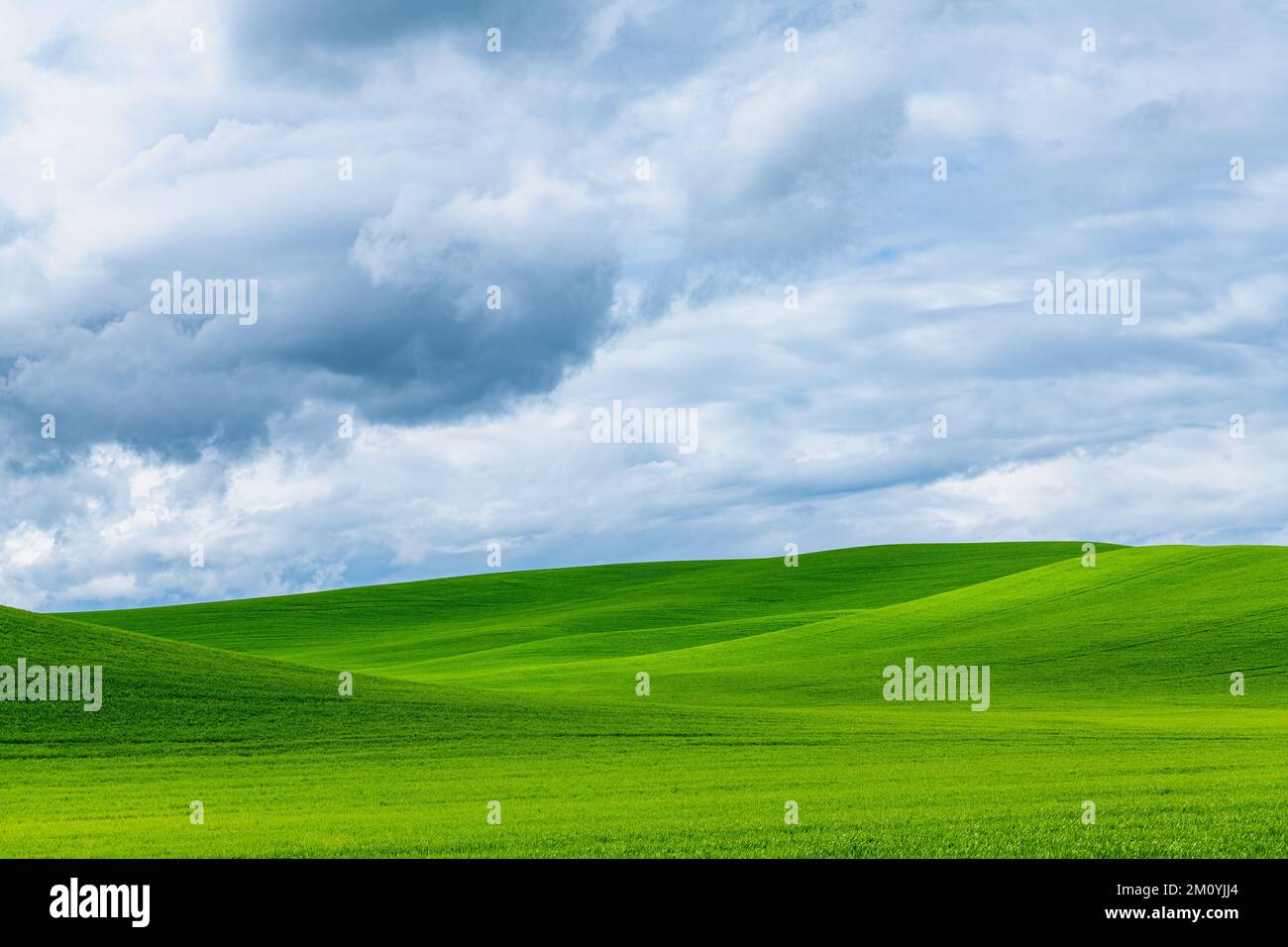 Scène printanière de collines vertes idylliques couvertes d'herbe sous un ciel spectaculaire à Palouse Hills, Washington Banque D'Images