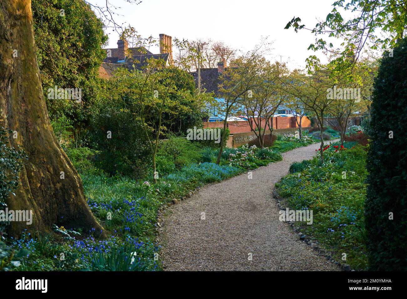 Chemin de gravier dans les jardins Bridge End à Saffron Walden, Essex, Royaume-Uni Banque D'Images