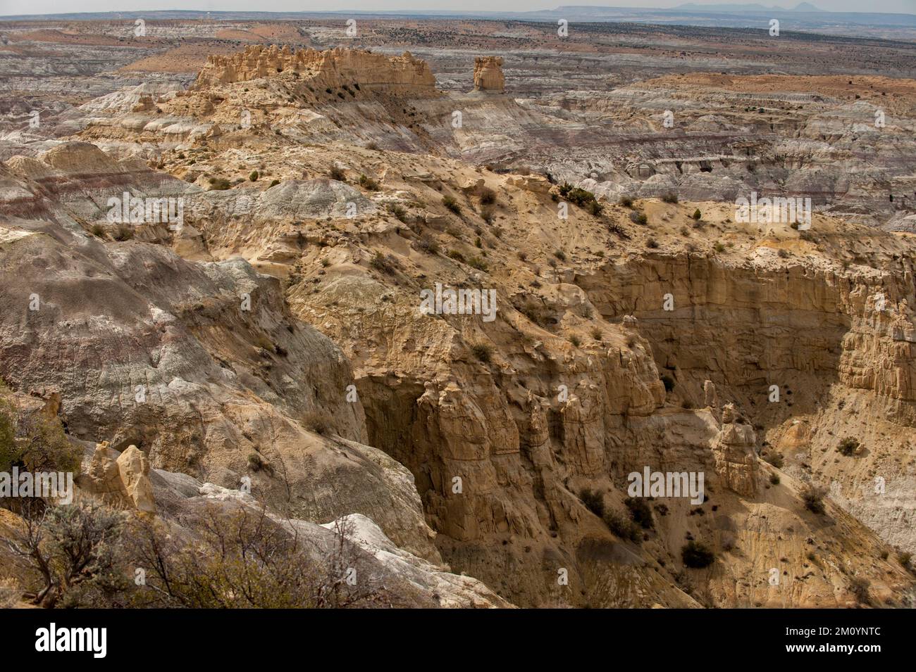 Une vue large de la caractéristique connue sous le nom de Castle Rock dans les badlands d'Angel Peak au Nouveau-Mexique. Banque D'Images