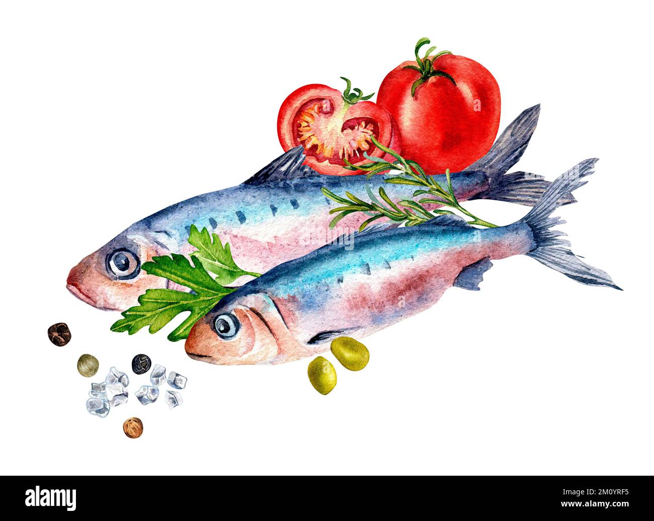 Composition des sardines et des épices aquarelle illustration isolée sur blanc. Poisson frais de l'Atlantique, tomates, persil, olives dessinées à la main. Conception des élémes Banque D'Images