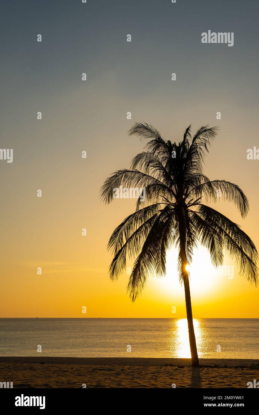 Plage coucher de soleil ou lever de soleil avec cococotier et coloré de ciel de nuages et de soleil au crépuscule Banque D'Images