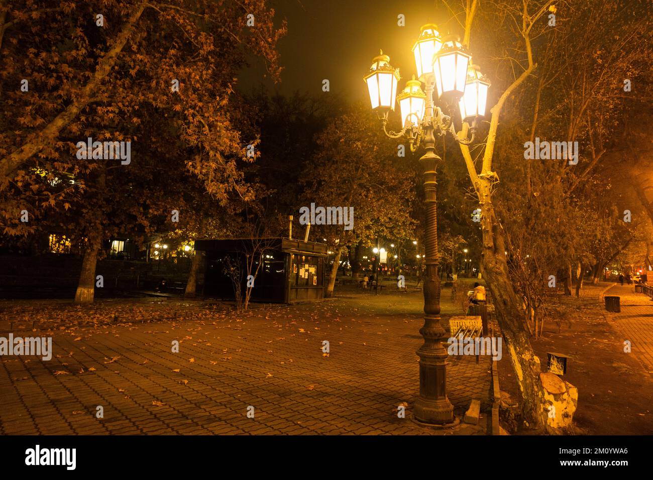 Lanterne de rue lumineuse dans un parc en soirée. Poteau lumineux avec de nombreuses lampes. Banque D'Images