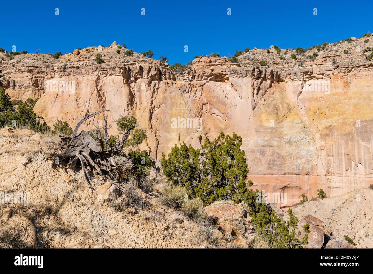 Paysage désertique de falaises colorées de mesa à Ghost Ranch, Nouveau-Mexique Banque D'Images