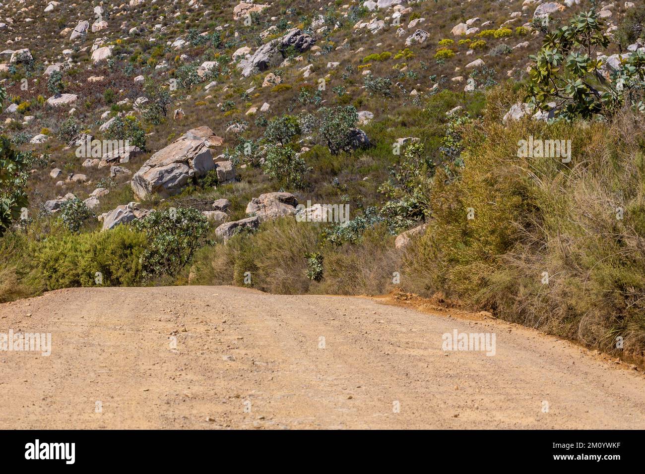 Sur une route de terre à travers le Cederberg, Cap occidental de l'Afrique du Sud Banque D'Images