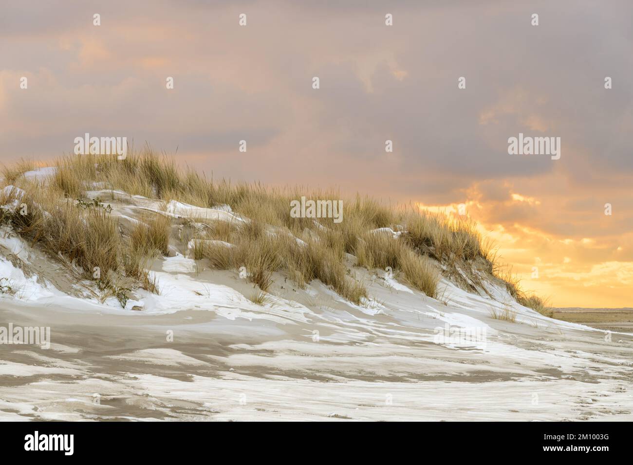 Paysage d'hiver au coucher du soleil sur la plage avec dunes et neige à Kwade Hoek sur l'île de Goeree-Overflakkee aux pays-Bas. Banque D'Images