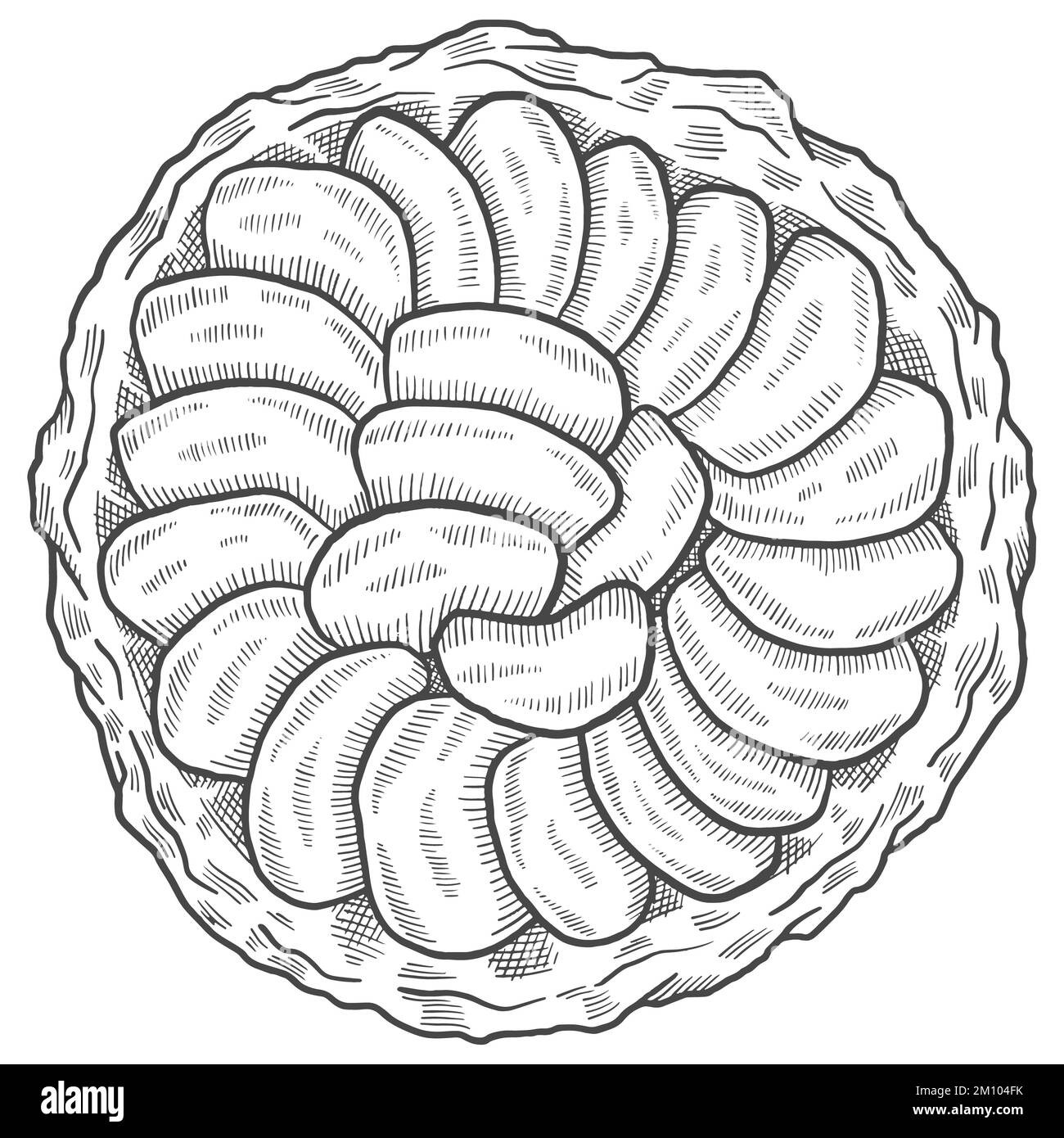 tarte tatin france dessert snack isolé doodle dessin dessiné à la main avec illustration vectorielle de style vectoriel Banque D'Images