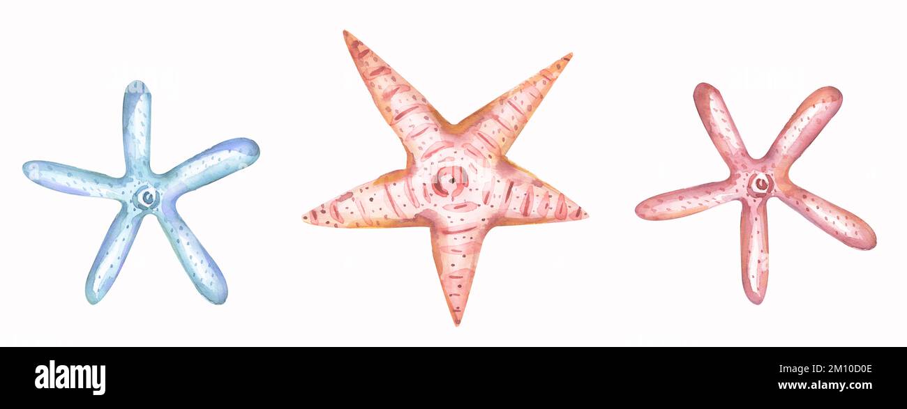 Ensemble d'objets marins aquarelle, clipart d'étoiles de mer. Illustrations délicates en bleu et rose Banque D'Images