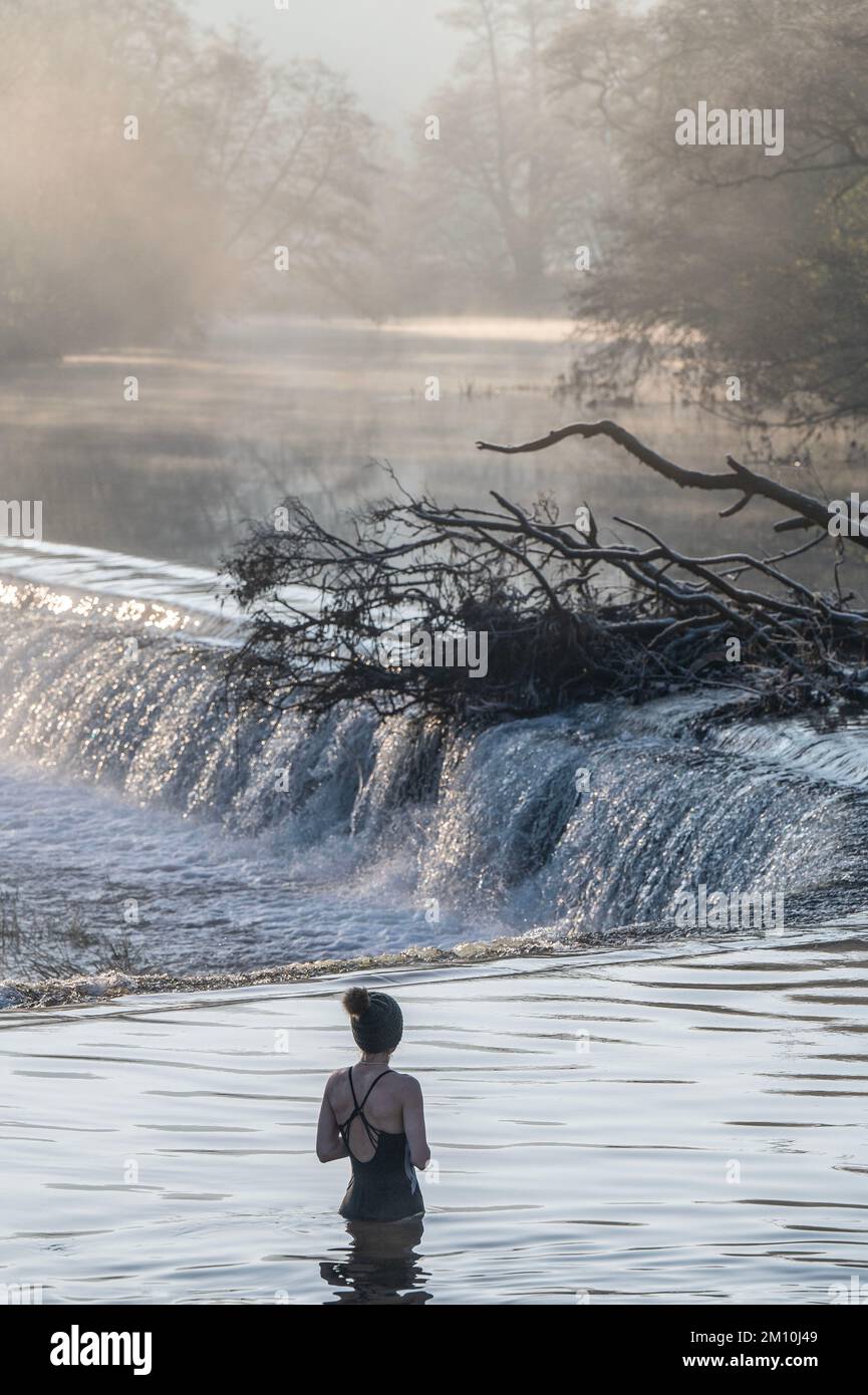 09.12.22. MÉTÉO SOMERSET. Sam Williams de 'The Happy dipperss' brave l'eau dans la rivière Avon à Warleigh Weir dans Somerset ce matin comme temper Banque D'Images