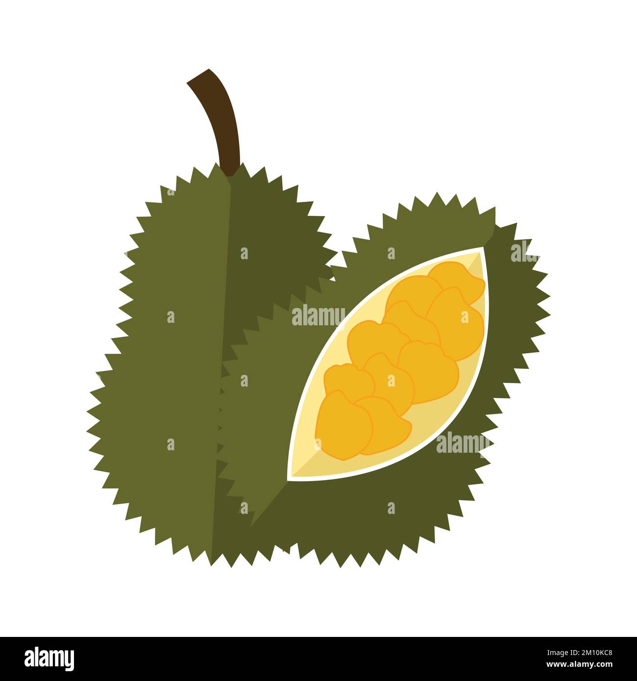 Illustration vectorielle clip art Jackfruit Flat isolée sur fond blanc Illustration de Vecteur