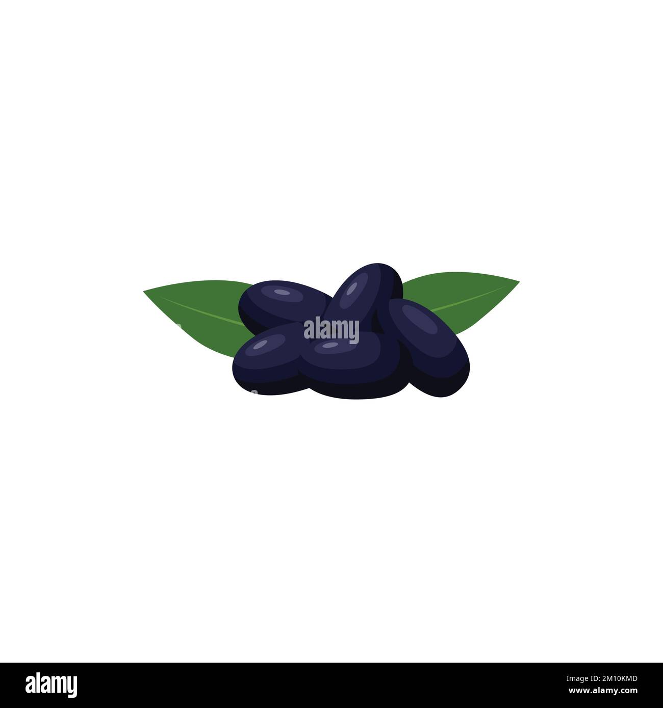 Illustration vectorielle clip art Jambolan Flat isolée sur fond blanc Illustration de Vecteur