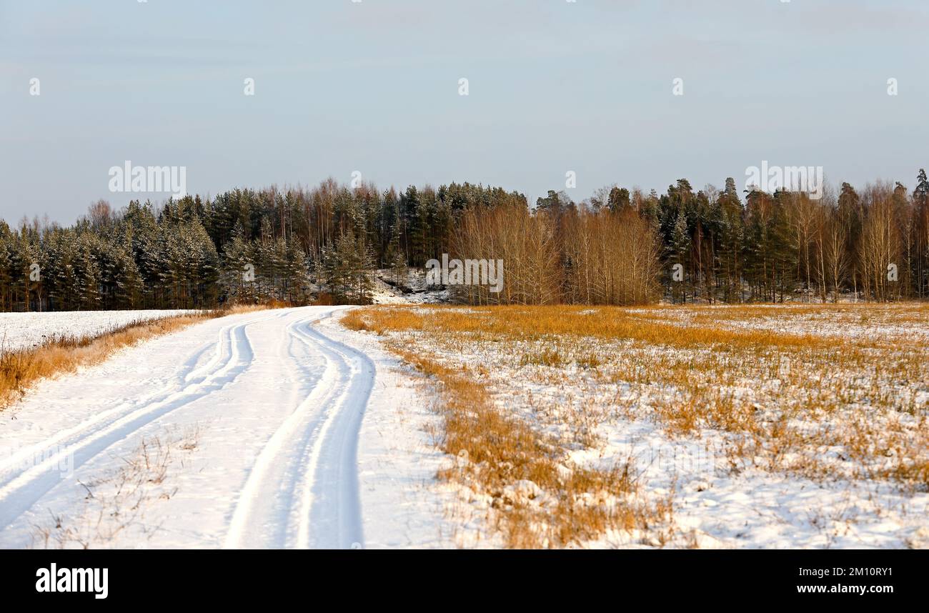 Une route de charrette à travers le champ enneigé en hiver Banque D'Images