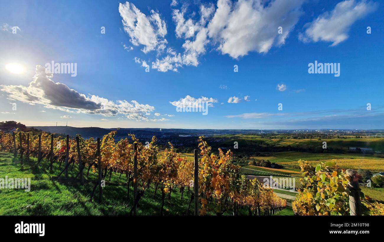 Région viticole et paysages naturels aux vignes colorées en automne autour de Stuttgart à Baden Wuerttemberg Banque D'Images