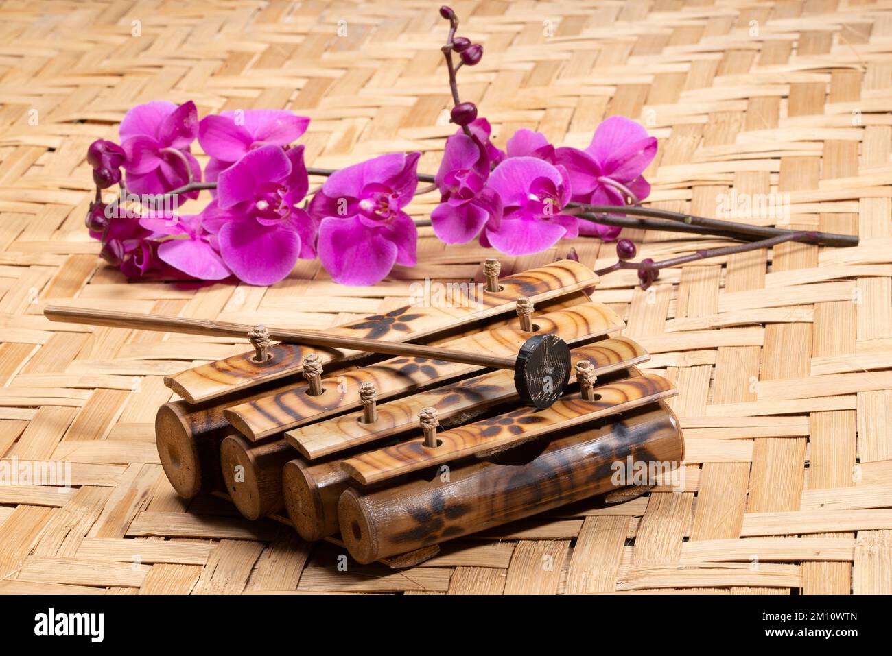 Un xylophone traditionnel en bois un fond de bambou. Banque D'Images