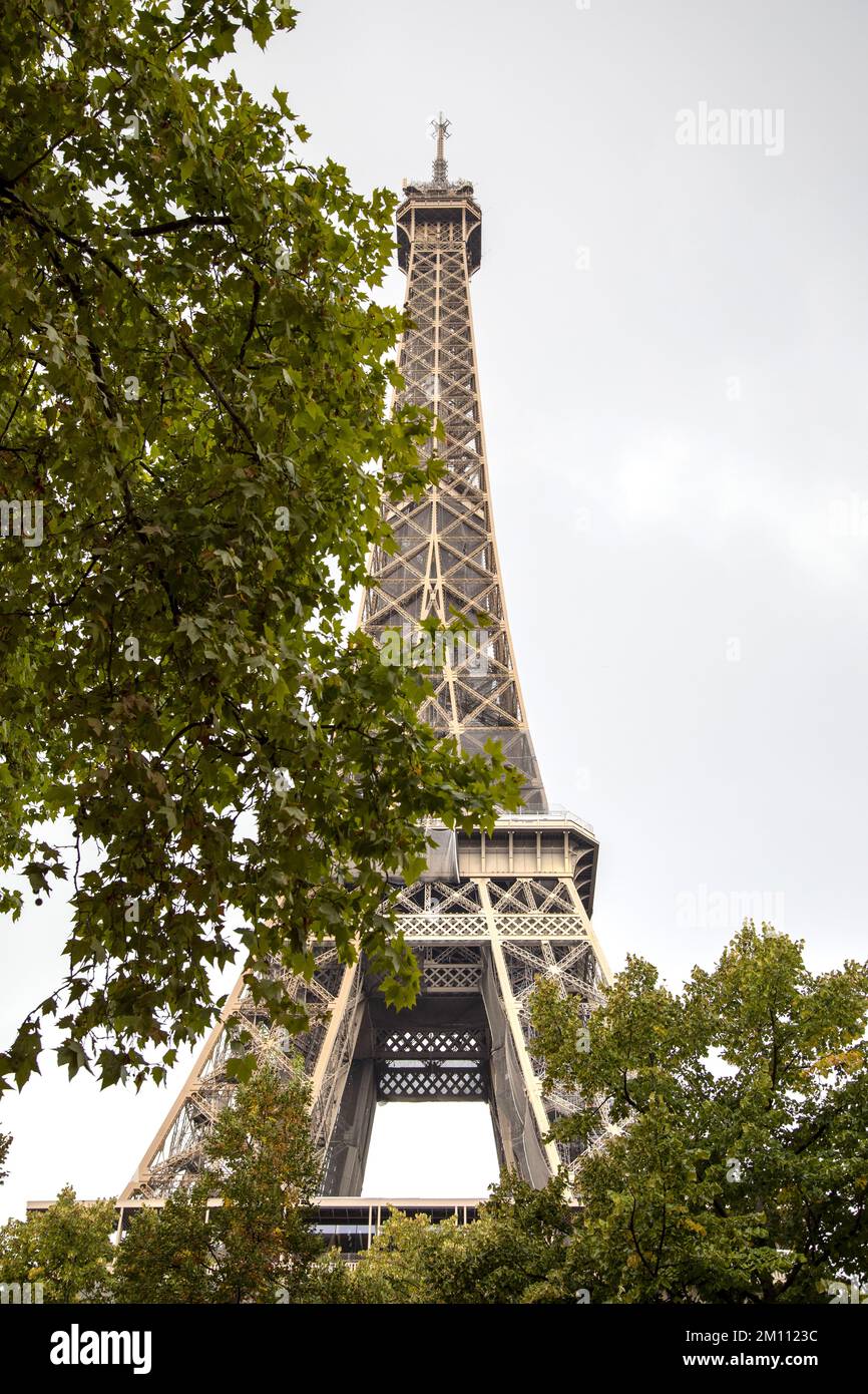 La tour Eiffel vue à travers les arbres de Paris France Banque D'Images