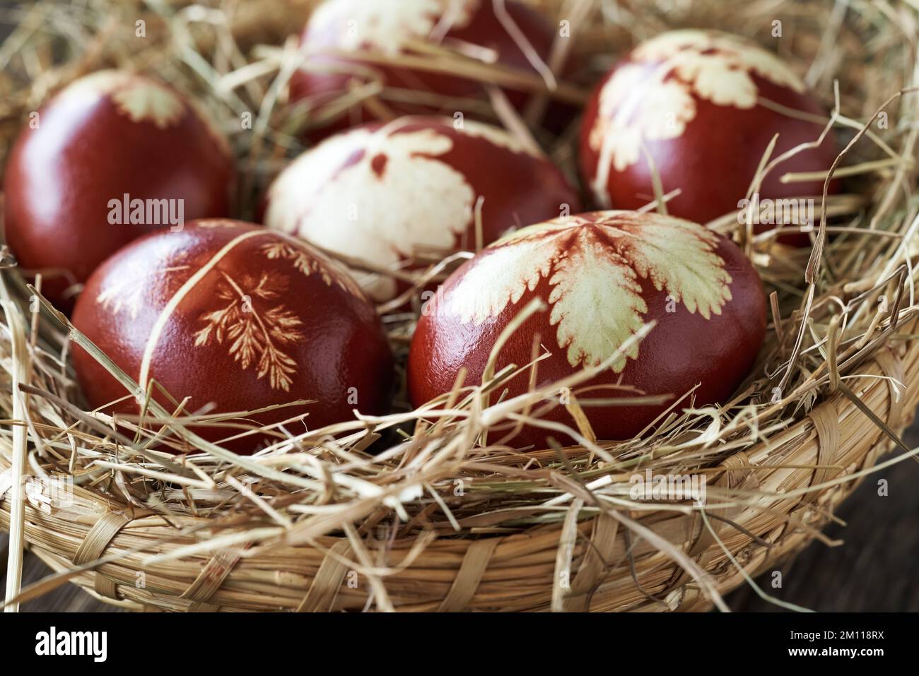 Oeufs de Pâques colorés avec des peaux d'oignon avec un motif d'herbes dans un panier, gros plan Banque D'Images