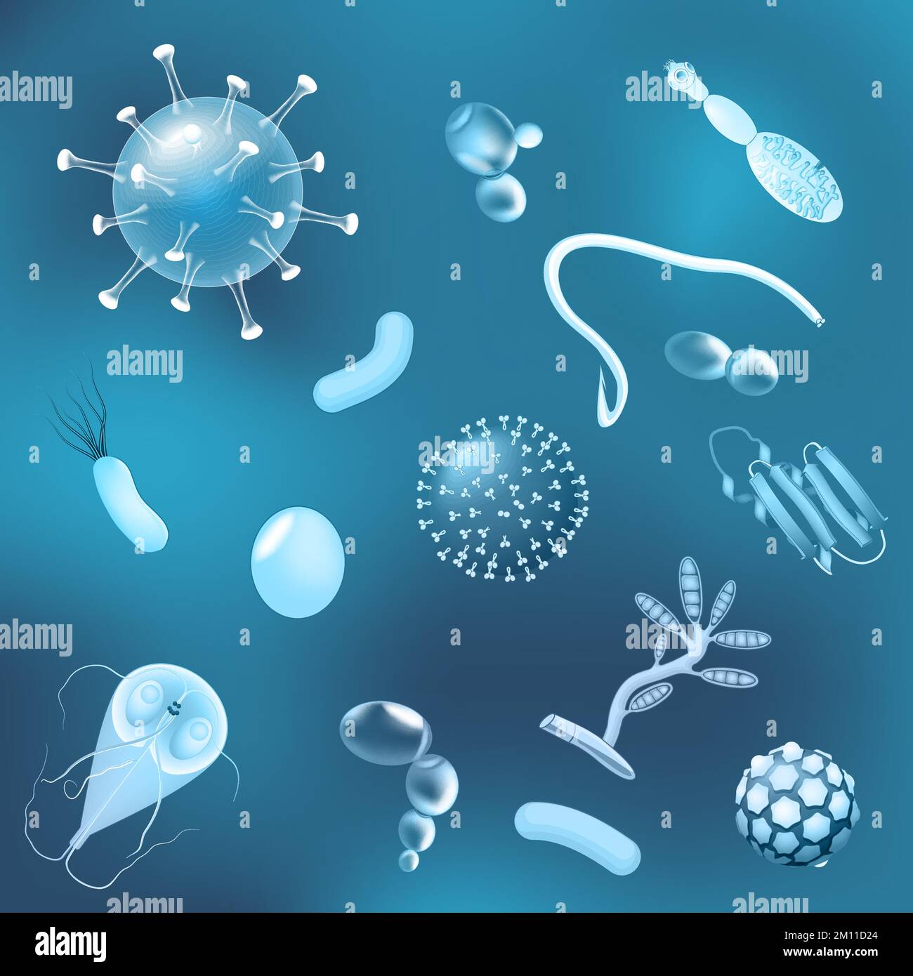 bactéries, champignons et virus à effet brillant. Schéma de l'agent pathogène dangereux. Microbes, micro-organismes et autres parasites. maladie ou maladie Illustration de Vecteur