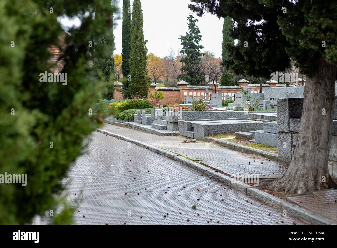 Cimetière. Cemenetery. Tombes grises et blanches à côté de quelques pins. Concept terrifiant. Un endroit effrayant. Madrid, en Espagne, Photographie. Banque D'Images