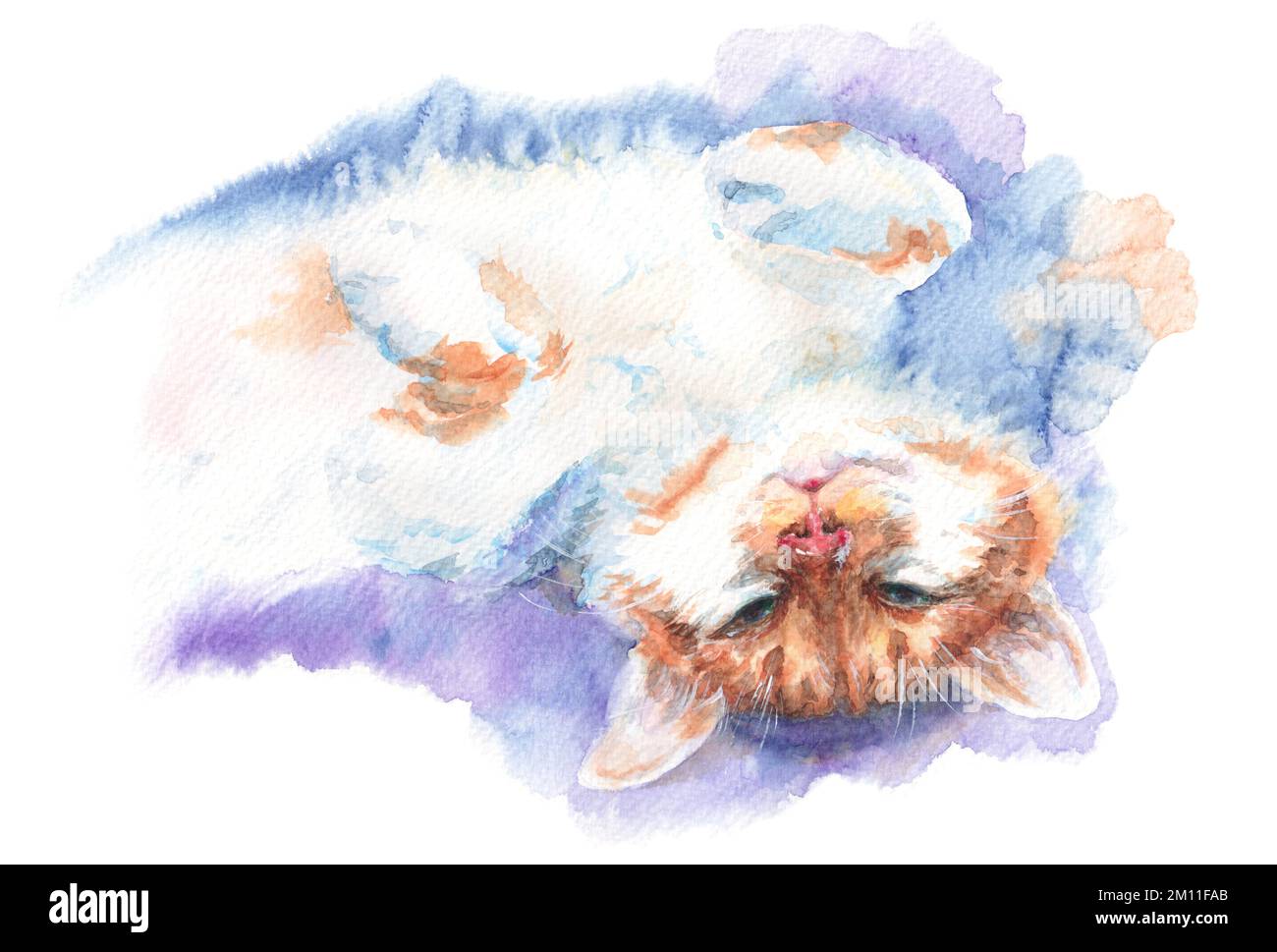 Joli chat blanc drôle avec des taches de gingembre couché à l'envers sur le dos. Illustration aquarelle réaliste avec texture papier et arrière-plan doux. Banque D'Images