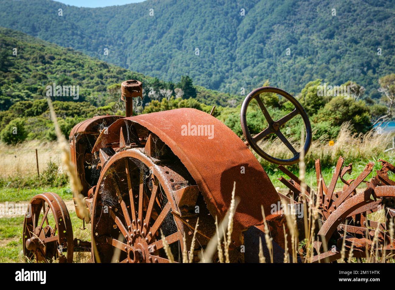 Tracteur agricole d'époque déserté et rouillé en défrichement dans le Bush et la montagne du sud de l'île. Banque D'Images