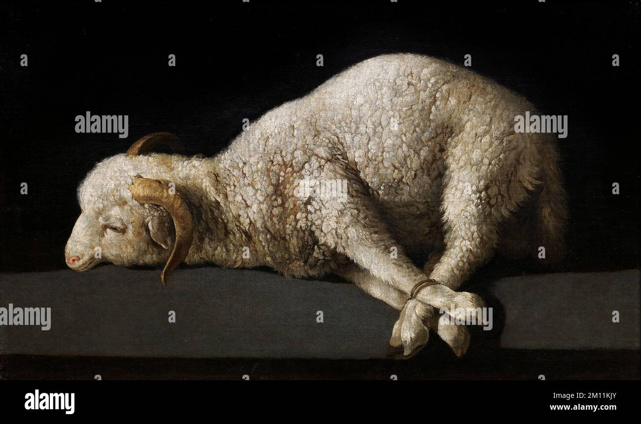 Agnus Dei, Zurbaran. Tableau intitulé Agnus Dei (L'Agneau de Dieu) de Francisco de Zurbarán (1598-1664), huile sur canvs, c.1635-40 Banque D'Images