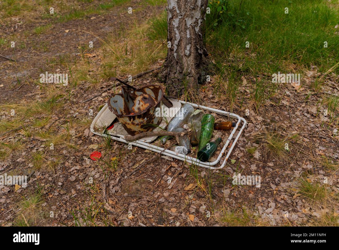Déchets illégaux déversés dans la forêt en Allemagne Banque D'Images