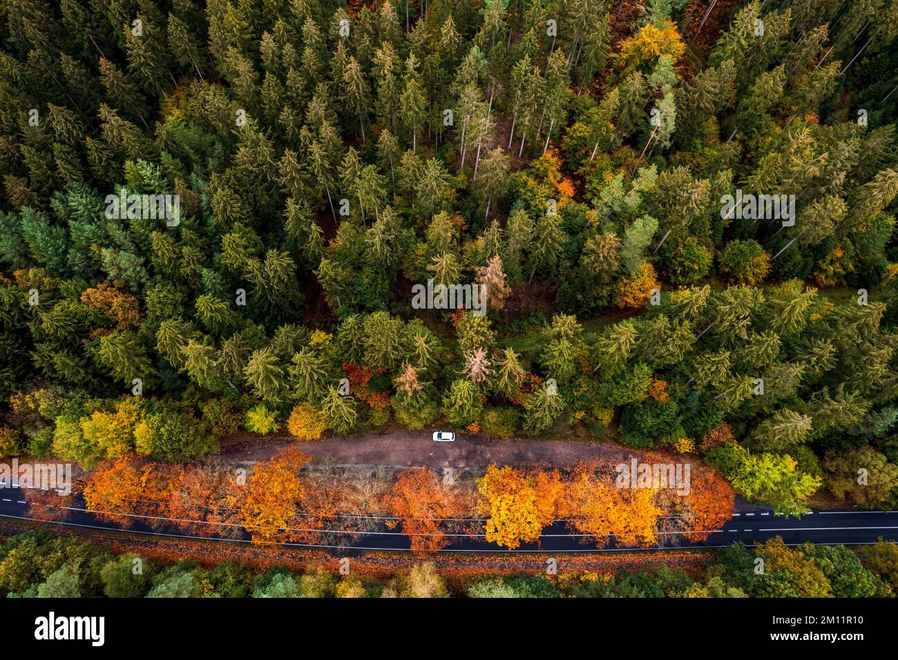 Vue aérienne, tir de drone, vue verticale, parking sur une route de comté, forêt mixte, Hambourg, Allemagne Banque D'Images