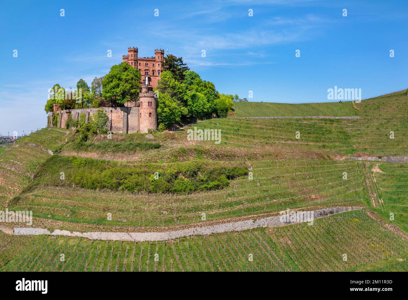 Château d'Ortenberg, près d'Offenburg, Ortenau, Forêt Noire, Bade-Wurtemberg, Allemagne Banque D'Images