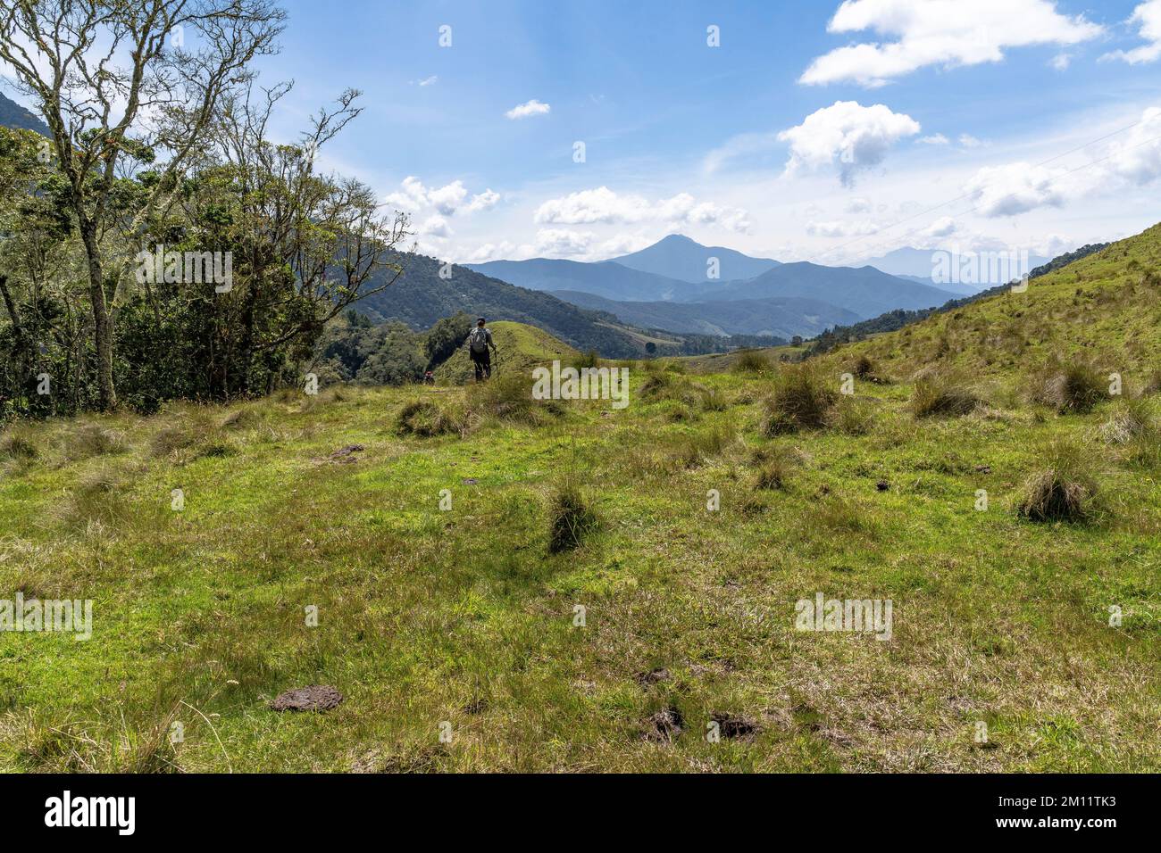 Amérique du Sud, Colombie, département d'Antioquia, Andes colombiennes, Urrao, ramo del sol, randonneur dans un pâturage avec Cerro San José à l'horizon Banque D'Images