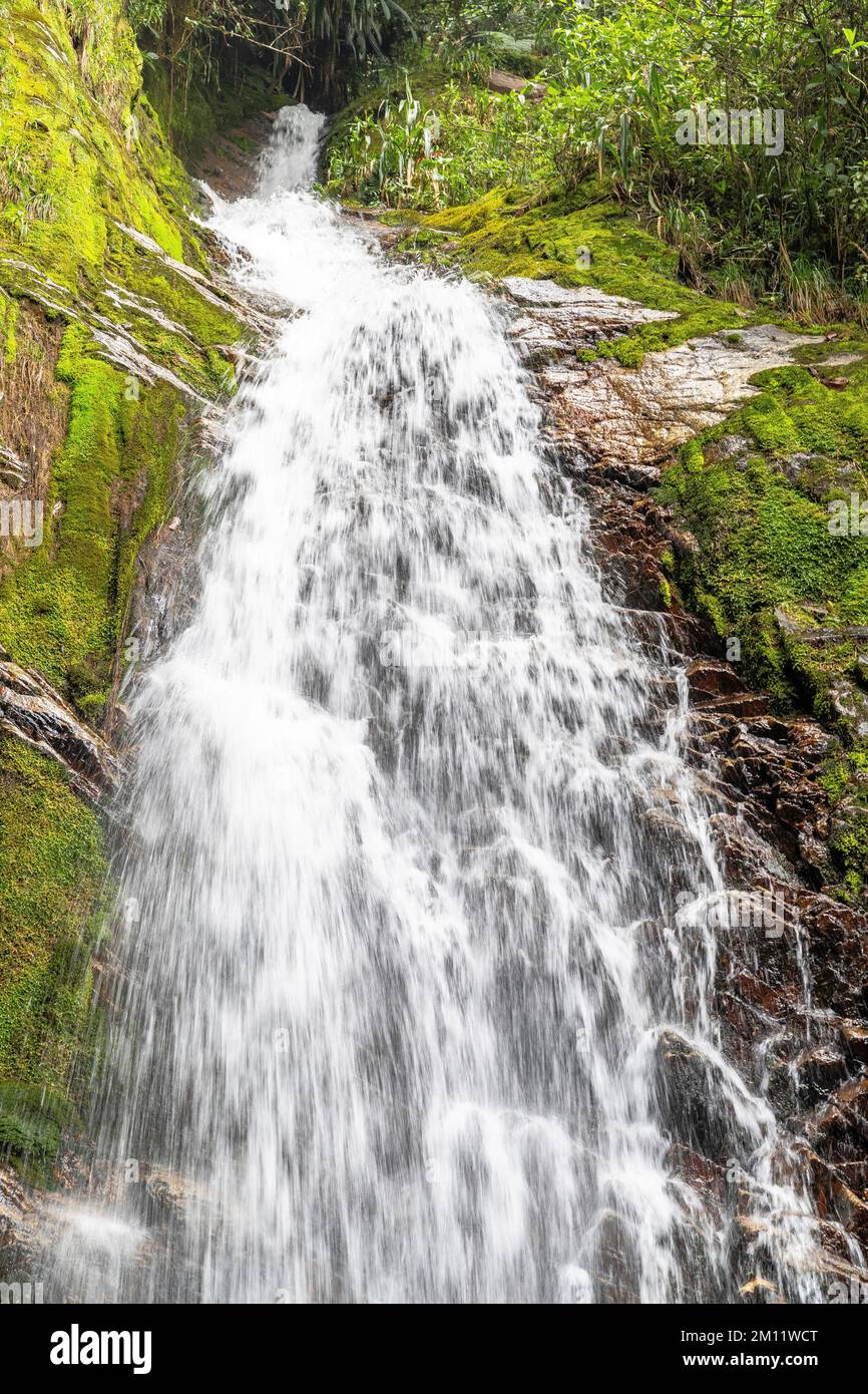 Amérique du Sud, Colombie, Departamento de Antioquia, Medellín, Envigado, Cascade Chorro El Silencio à Quebrada la miel Banque D'Images