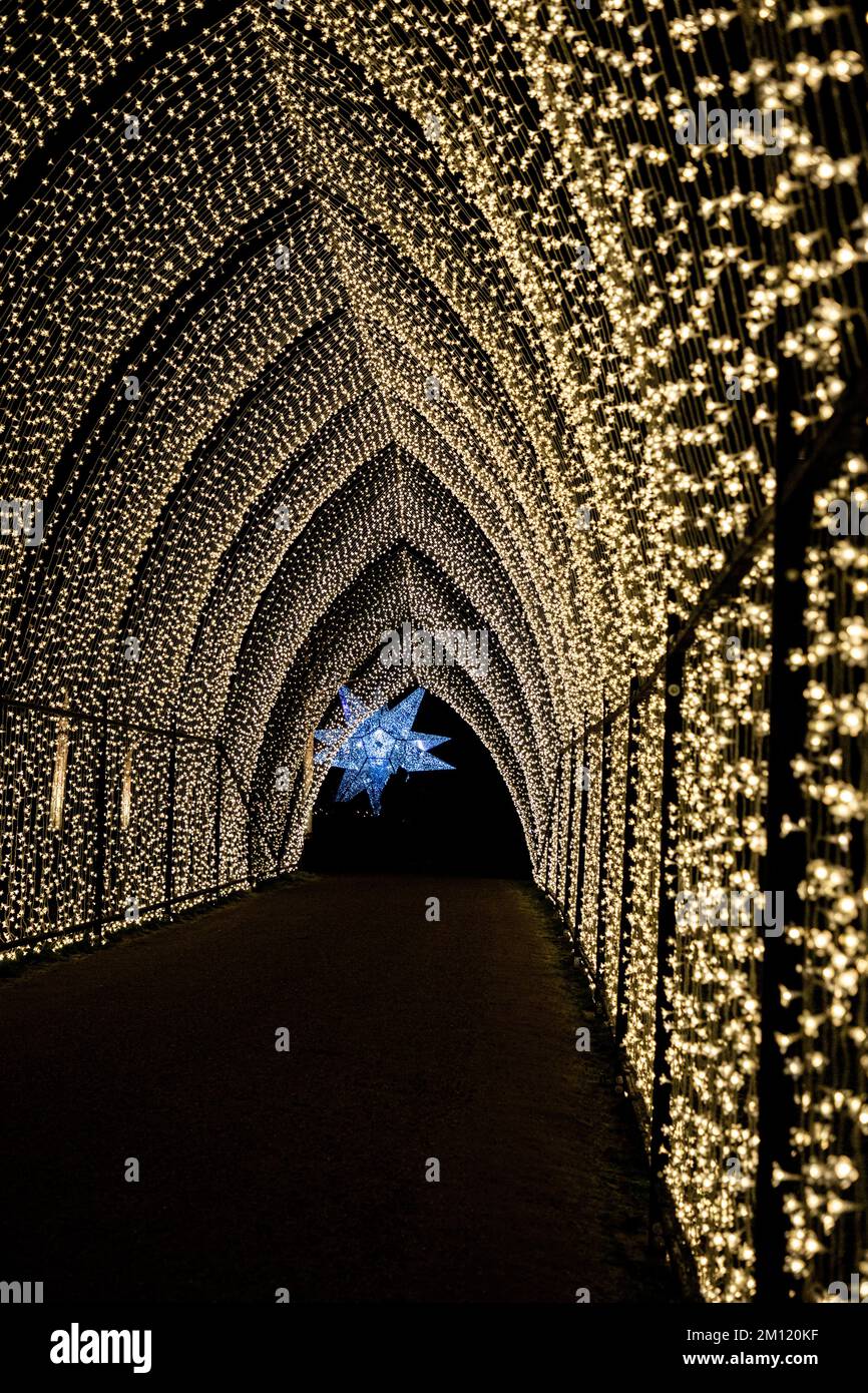 Un cathéderal de lumières sur le sentier lumineux de Blenheim de Noël et d'hiver. Banque D'Images