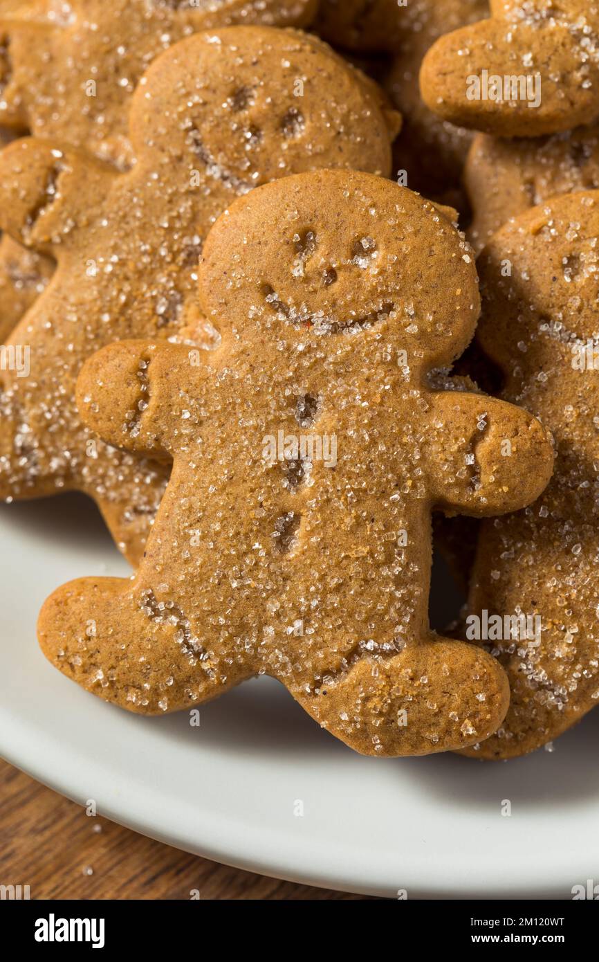 Biscuits maison de pain d'épice pour hommes avec du sucre sur une assiette Banque D'Images