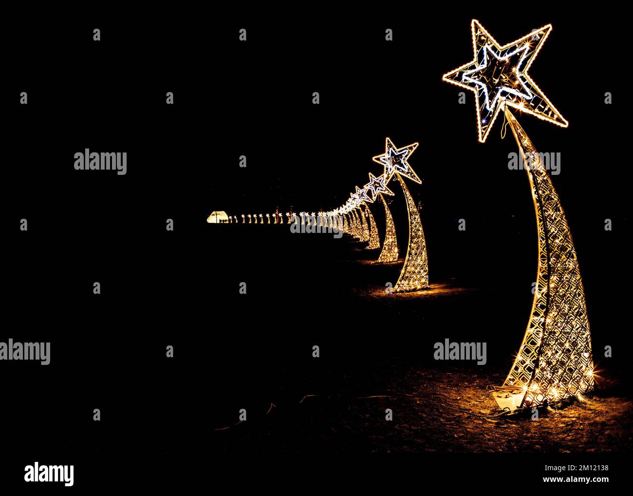 Avenue illuminée des stars de tournage à Blenheim, sentier de Noël et de lumière d'hiver. Banque D'Images