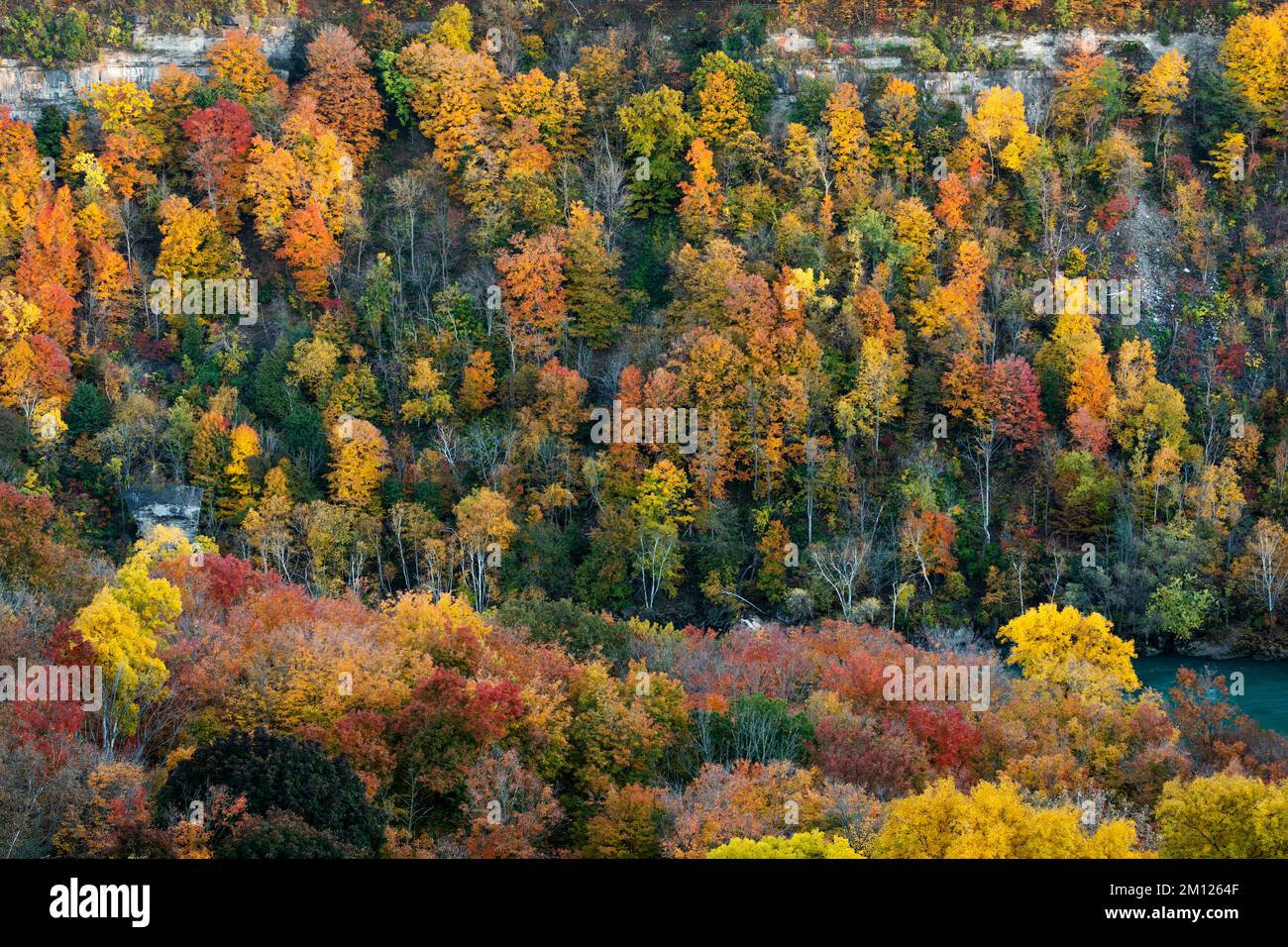 Canada, Ontario, Niagara Falls, la gorge du Niagara en automne avec toutes les couleurs de l'automne Banque D'Images