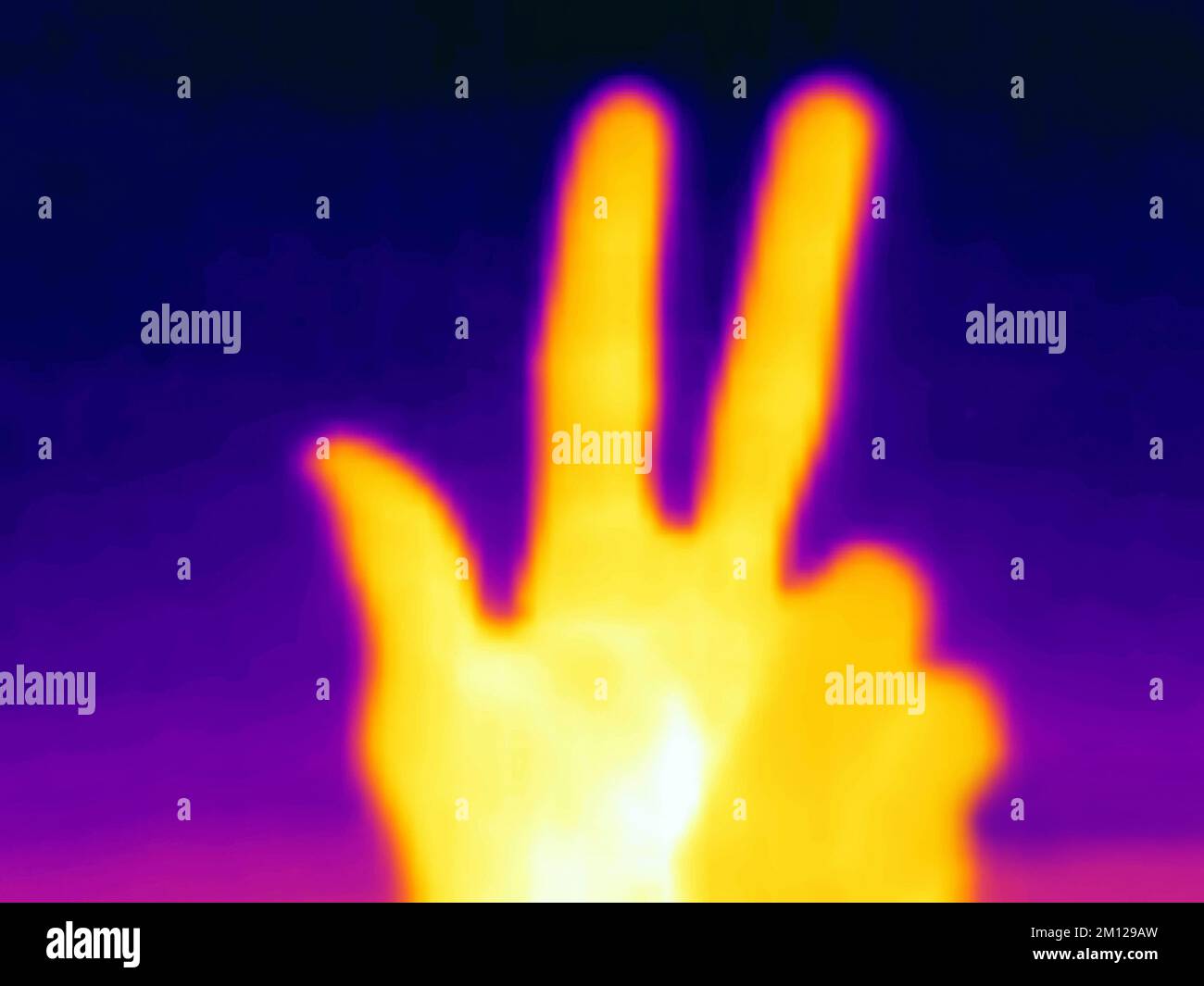 Photographie infrarouge. Signe de victoire (langage corporel moderne). Main humaine (main, doigts) Banque D'Images