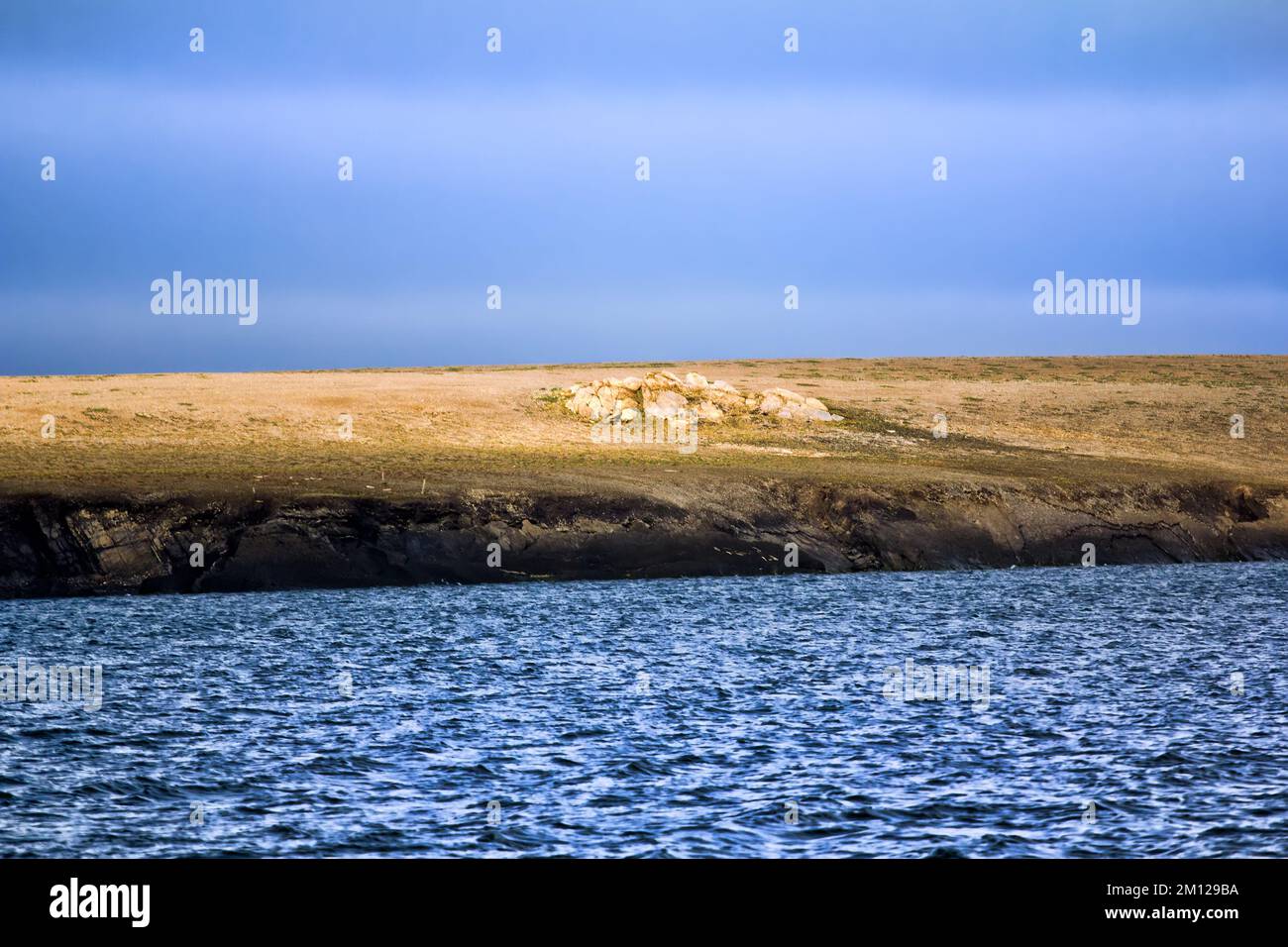 Îles dans l'océan Arctique. Côte de l'île Vaigach près du détroit de Yugorski Shar : falaise et toundra. Zone polaire, un des sites Nord-est passage à la merde Banque D'Images