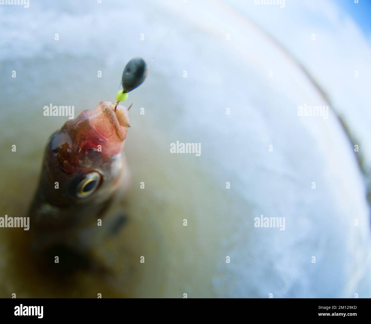 Pêche récréative sur glace. Une photo de la pêche à la ruche avec un trou et une arnaque. Un objectif Fish-eye est utilisé Banque D'Images