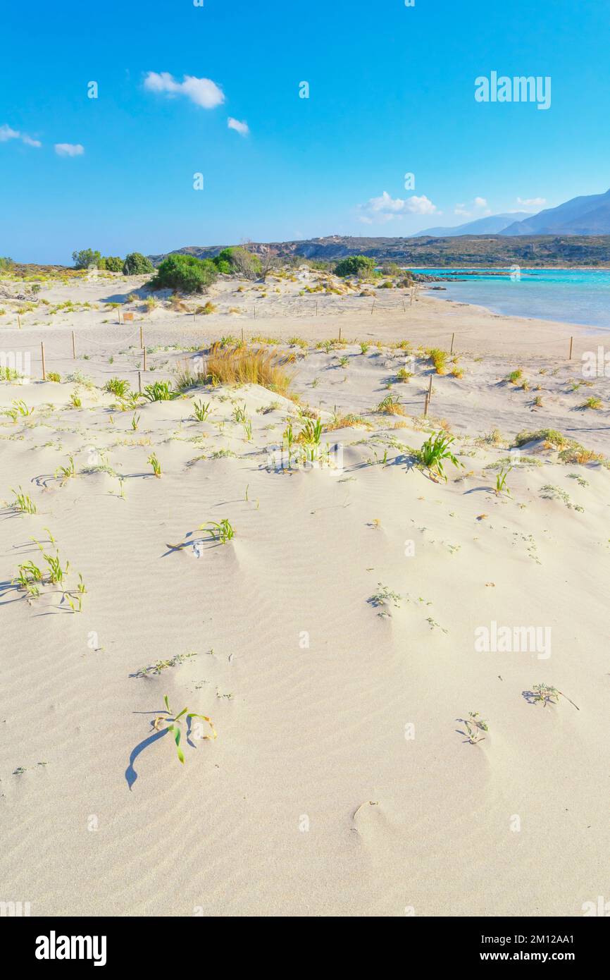 Plage d'Elafonisi, la Canée, la Crète, les îles grecques, la Grèce Banque D'Images