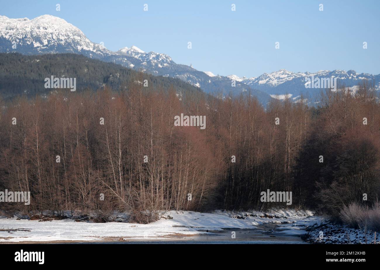 Paysage hivernal de la digue Eagle Run à Brackendale, Squamish, Colombie-Britannique, Canada Banque D'Images