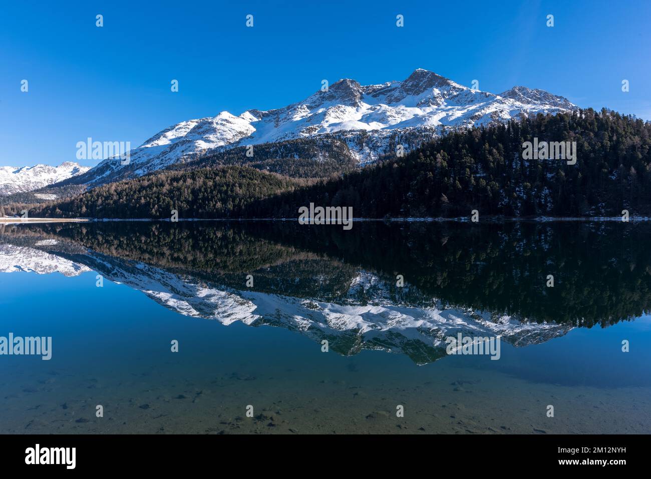 Réflexion de Piz Rosatsch dans le lac Champferer dans l'Engadine, canton des Grisons, Suisse, Europe Banque D'Images