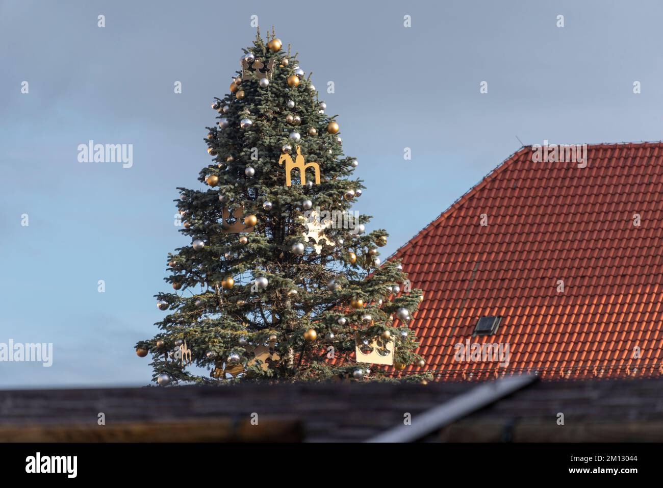 Sapin décoré, marché de Noël, Magdebourg, Saxe-Anhalt, Allemagne Banque D'Images
