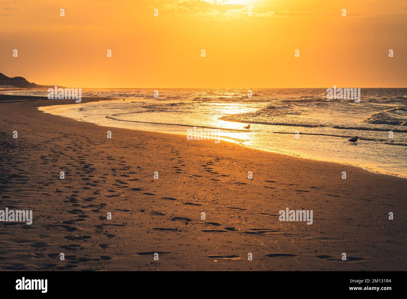 Ambiance du soir sur la plage de Norderney, à marée basse, heure d'or, deux mouettes sur l'eau Banque D'Images