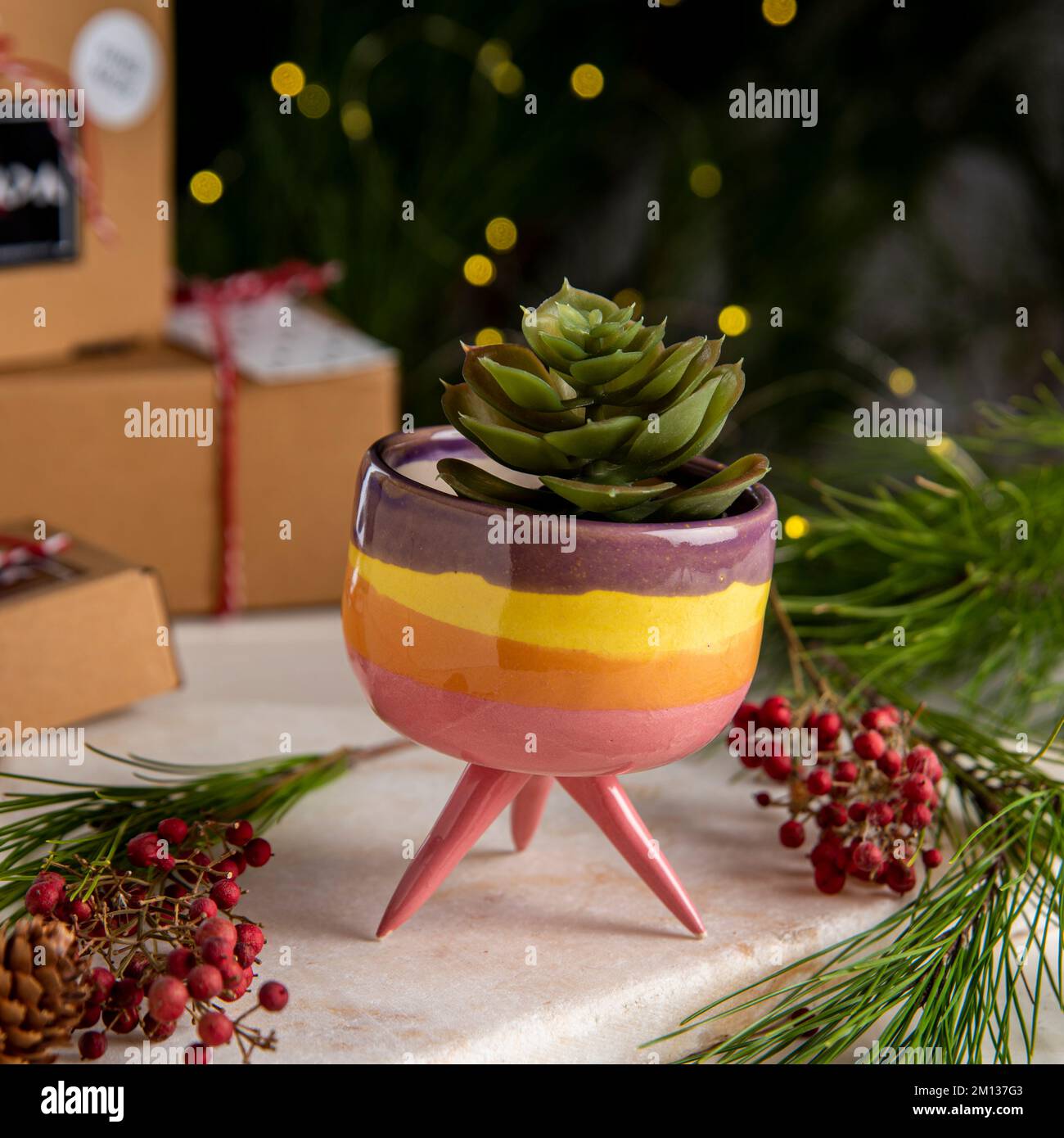 pots de fleurs en céramique avec boîtes-cadeaux et décoration de noël Banque D'Images