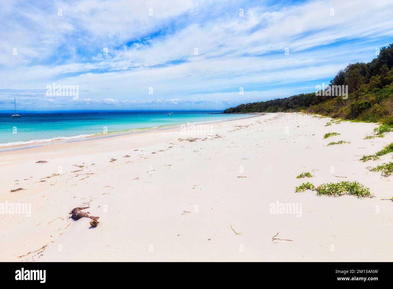 Paysage tropical de sable blanc long Beach sur la baie de Jervis, sur la côte de Paific en Australie. Banque D'Images
