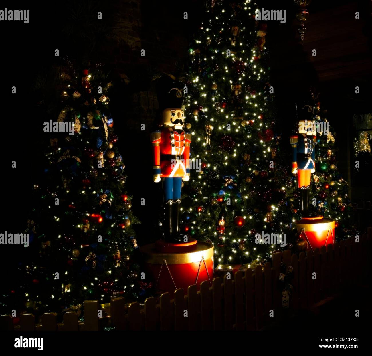 Calgary Zoolights Alberta Banque D'Images