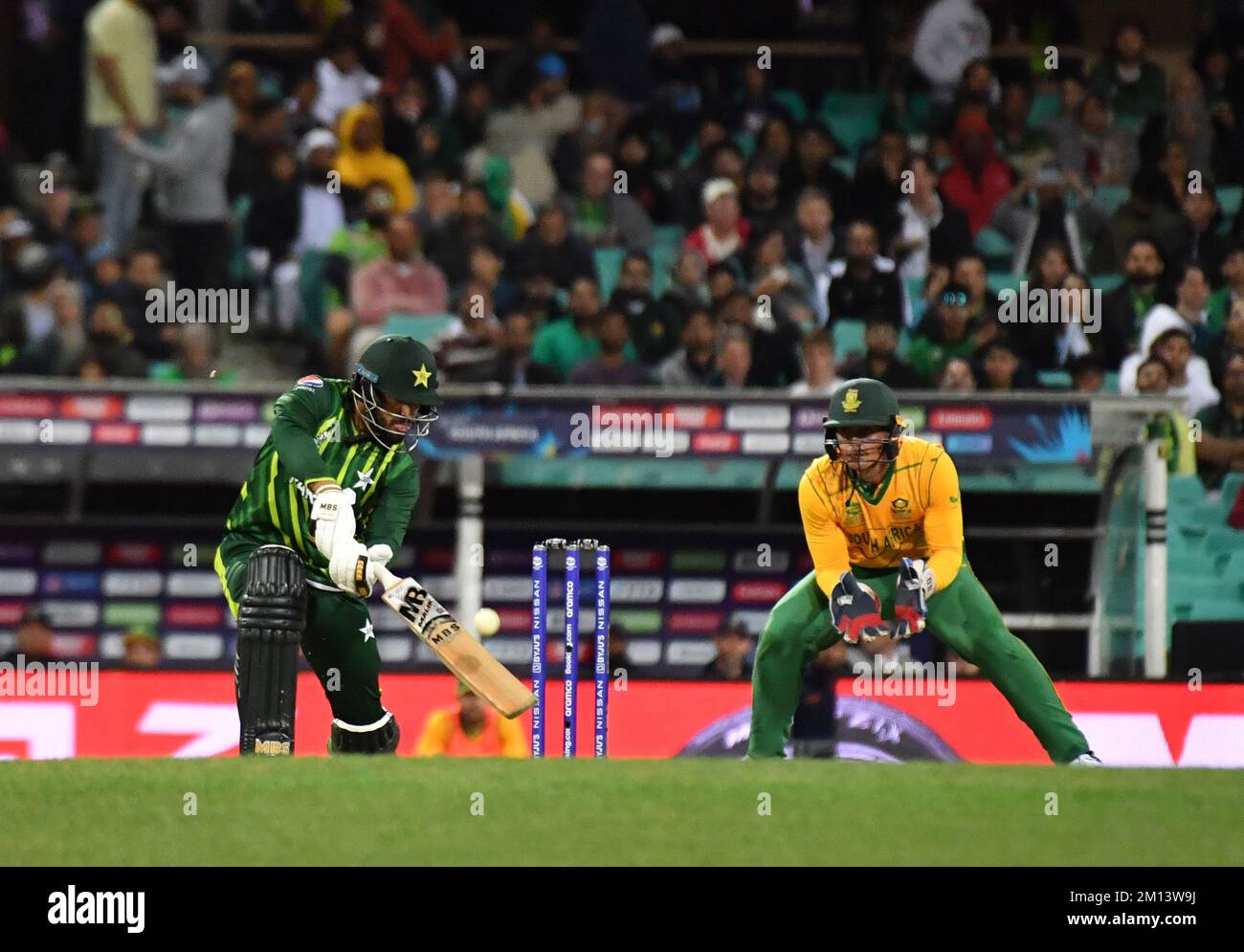 Coupe Du Monde De Cricket 2023 De L'équipe Participante Pakistan Contre Afghanistan 69557189