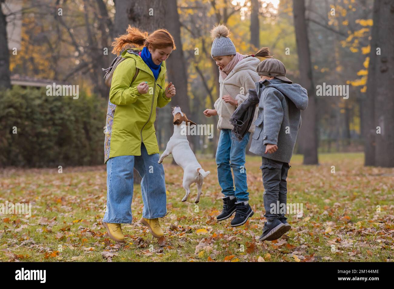 Les enfants caucasiens et la femme aux cheveux rouges jouent avec le Jack Russell terrier dans le parc d'automne. Banque D'Images Les enfants caucasiens et la femme aux cheveux rouges jouent avec le Jack Russell terrier dans le parc d'automne. Banque D'Images