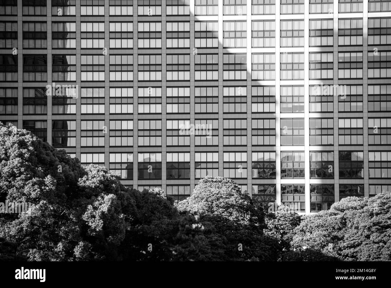 La nature et la ville entrent en collision avec les jardins de Hamarikyu à Tokyo, au Japon Banque D'Images