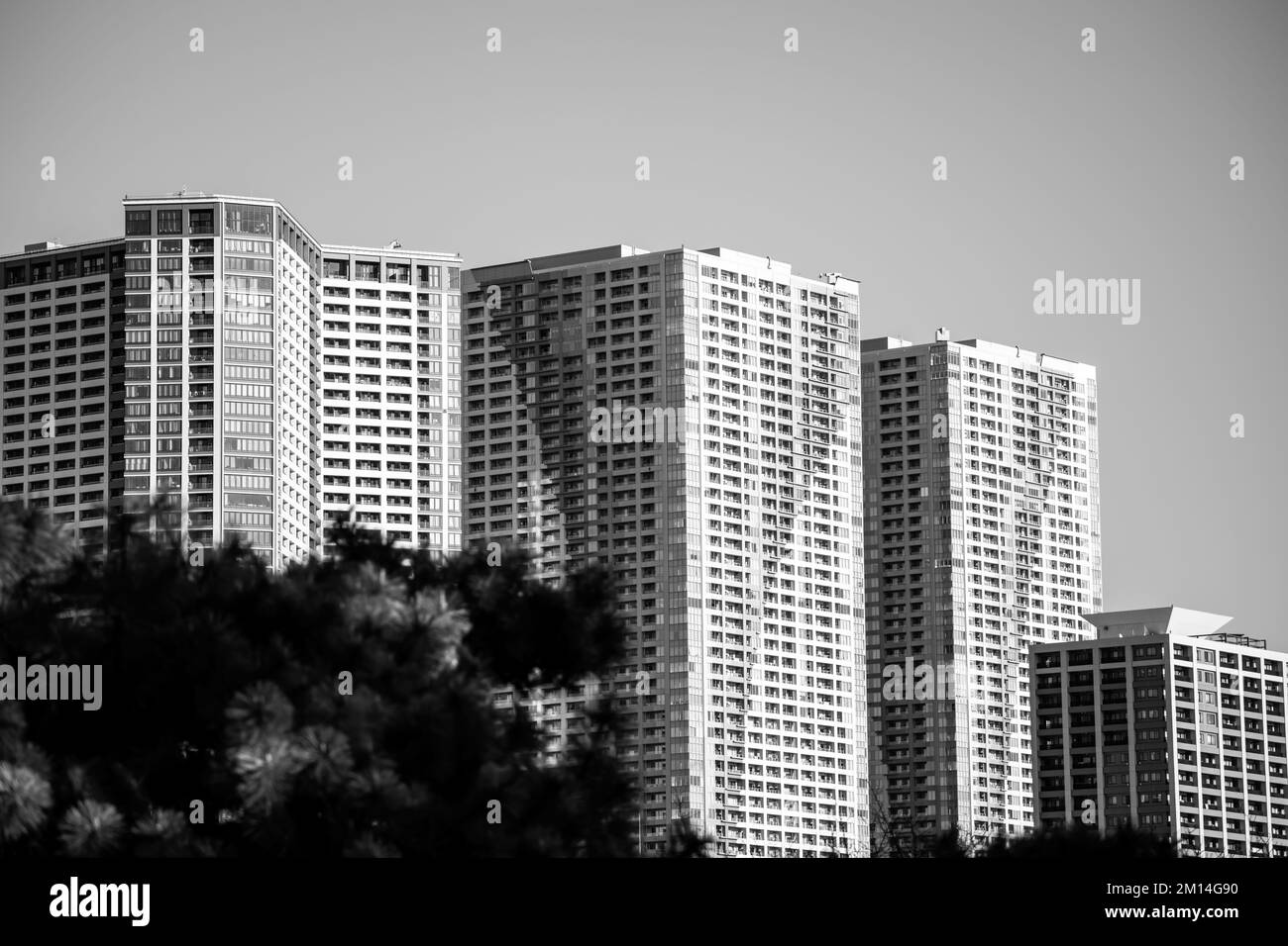 La nature et la ville entrent en collision avec les jardins de Hamarikyu à Tokyo, au Japon Banque D'Images