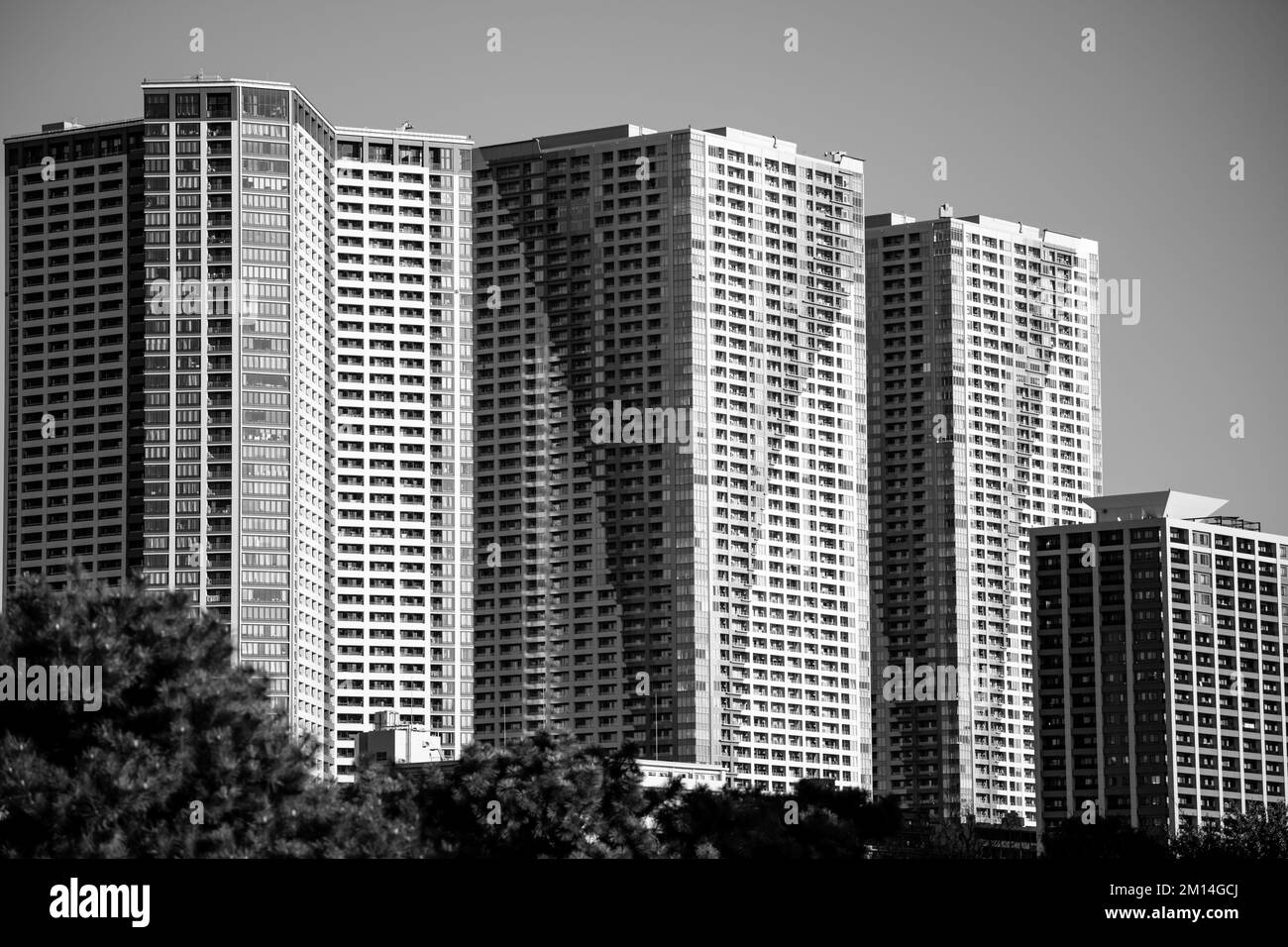 La nature et la ville entrent en collision avec les jardins de Hamarikyu à Tokyo, au Japon Banque D'Images